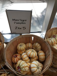かぼちゃがお店にいっぱい ハロウィンから収穫のお祝いに向けて 近畿日本ツーリスト ハワイ