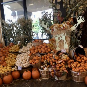 かぼちゃがお店にいっぱい　ハロウィンから収穫のお祝いに向けて