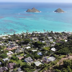 NEXT ハワイ　～”今” と “これから”で旅する楽園～