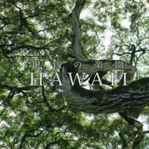 第４弾　NEXT ハワイ　～”今” と “これから”で旅する楽園～